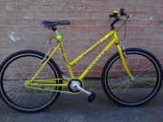 Sárga csikó, csengö rajta