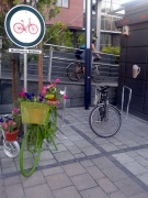 Westendezz bringával