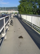 Lószar a bringaúton