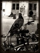 Fotó: http://the-fingerprint-file.blogspot.com