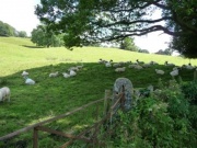 Szeretem a barikákat...